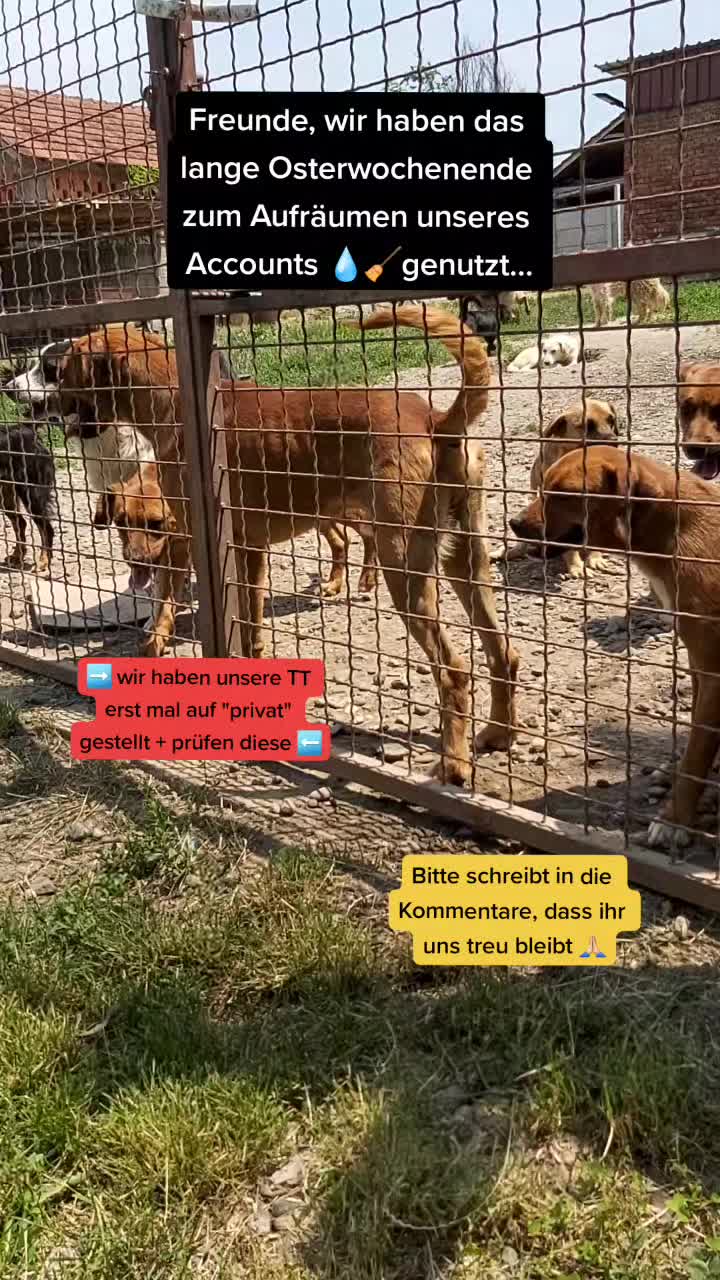 @Ruke_Spasa_Serbia