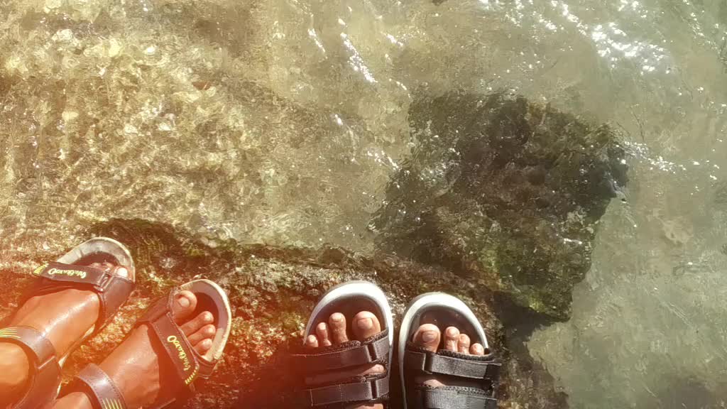 @sHiNAs😎
