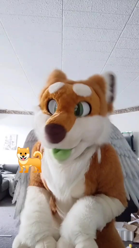 @CookieShiba
