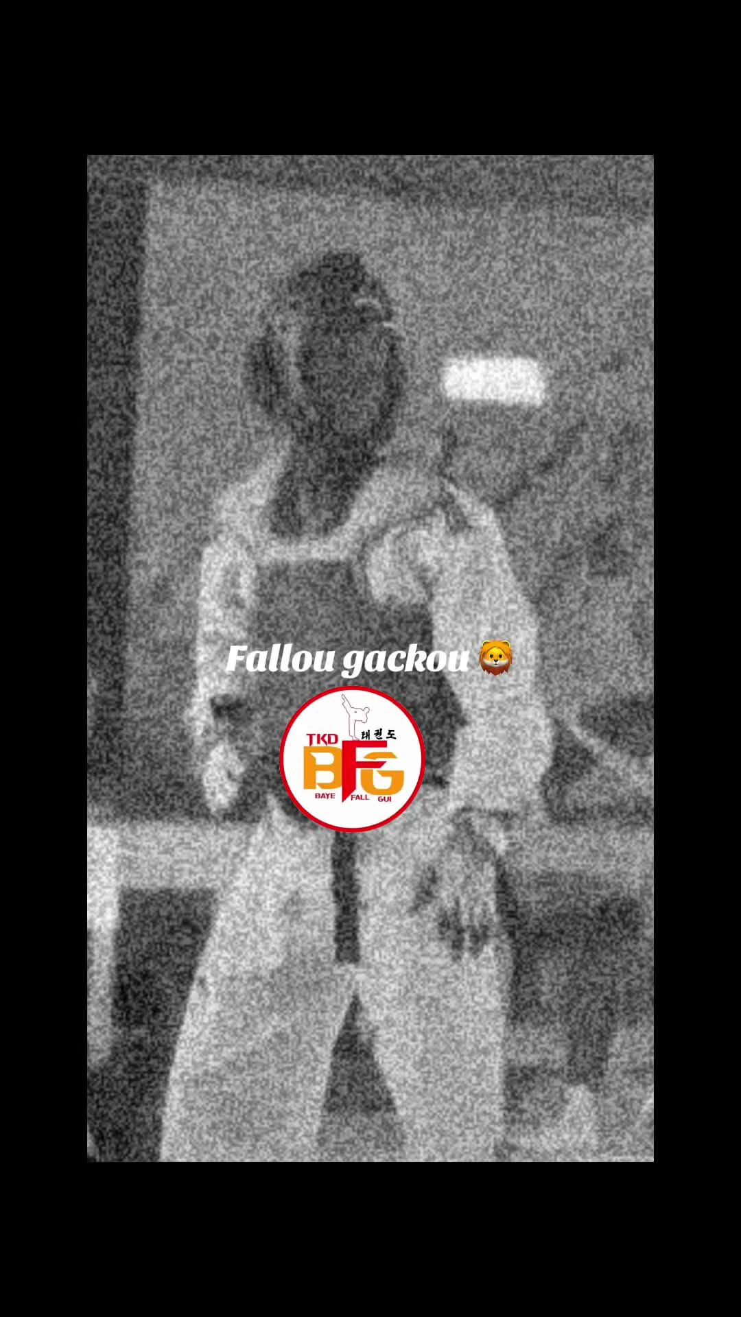 @B.F.G.bayefallgui