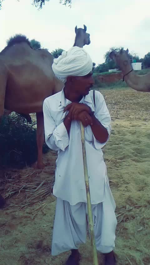 @Rutvik Desai