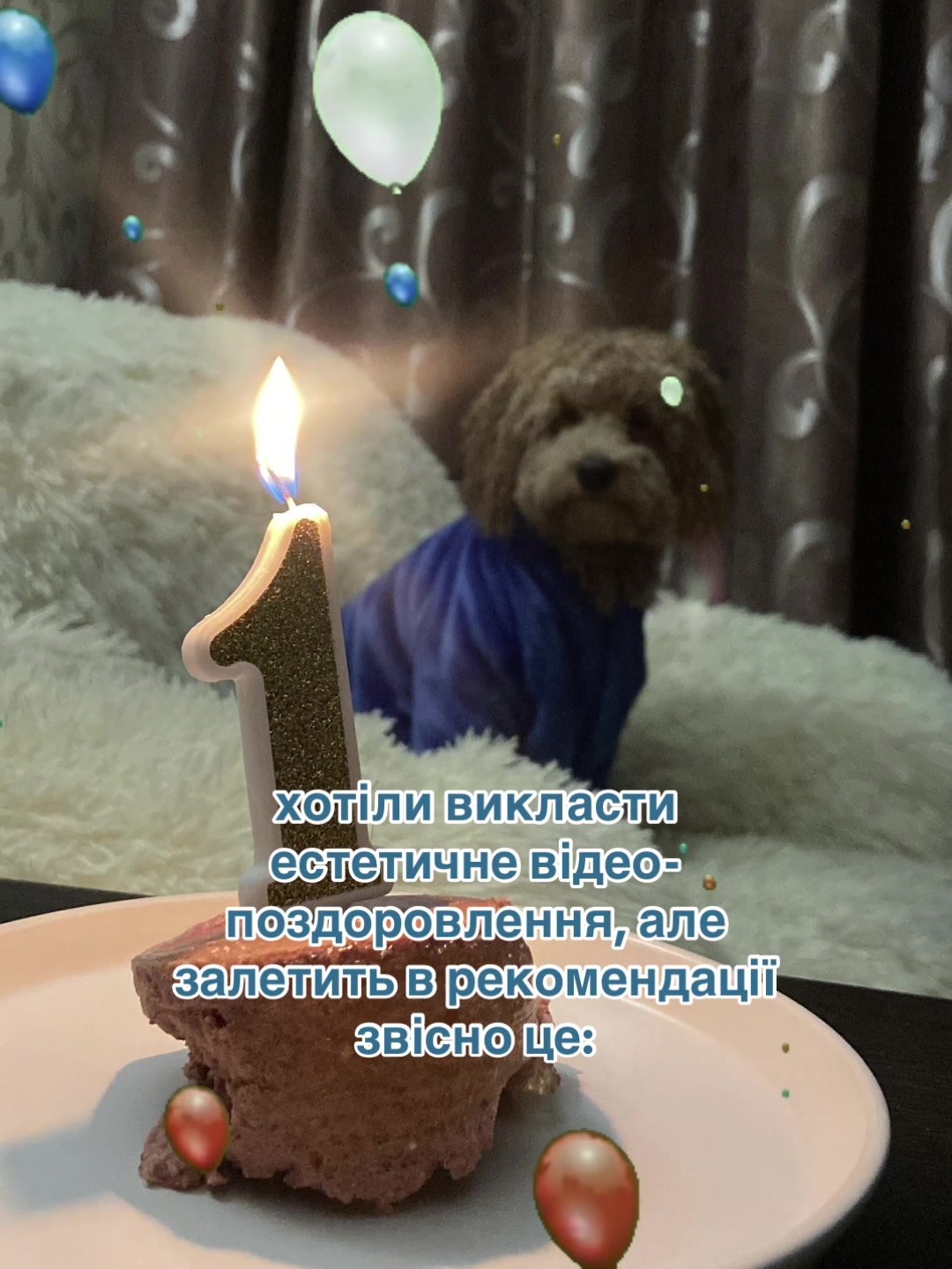 @barney poochon 🐾