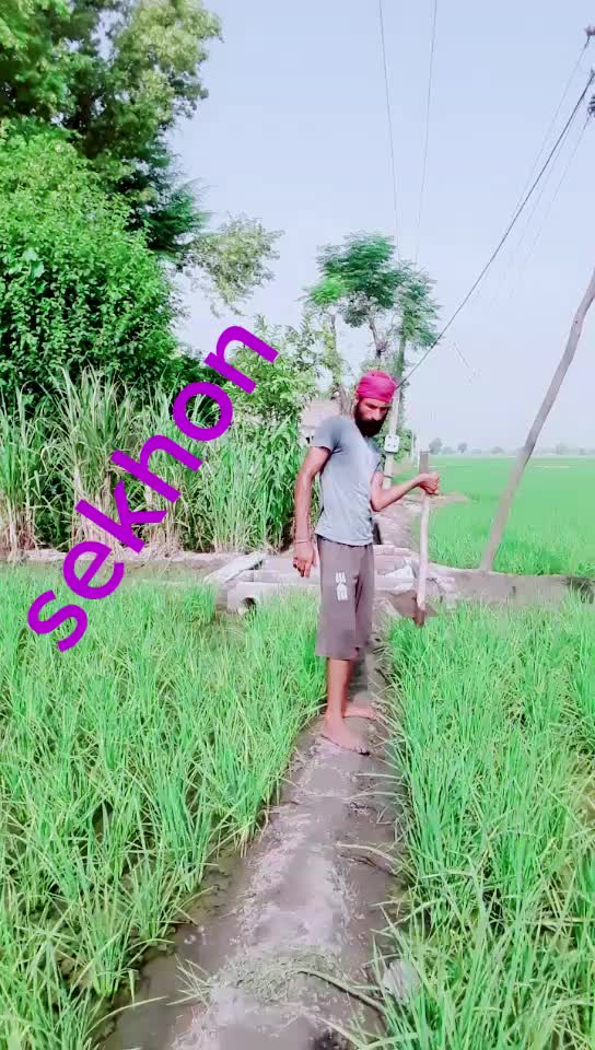 @Sekhon 7172