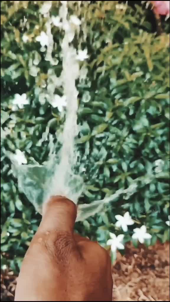 @dj