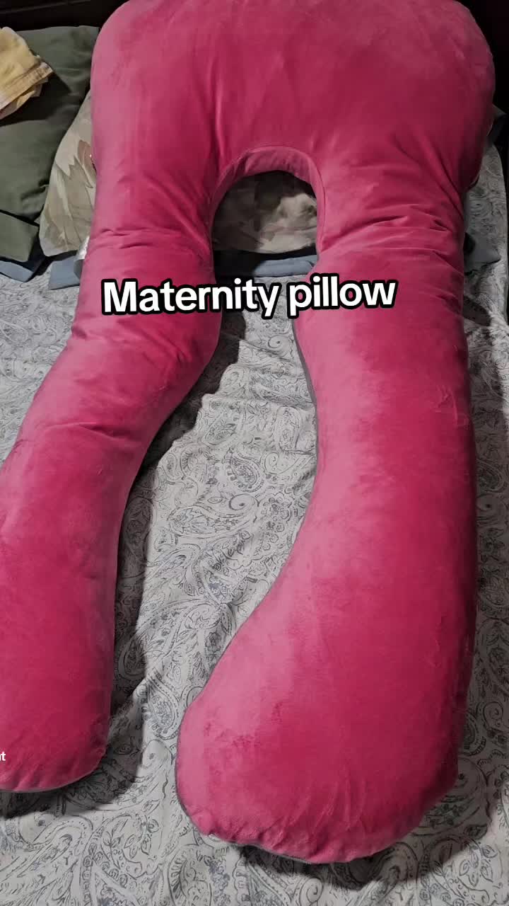 @Anne of Tiktok 🧿🪬