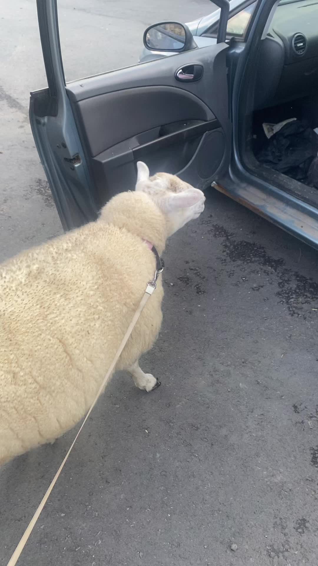 @Farming7744