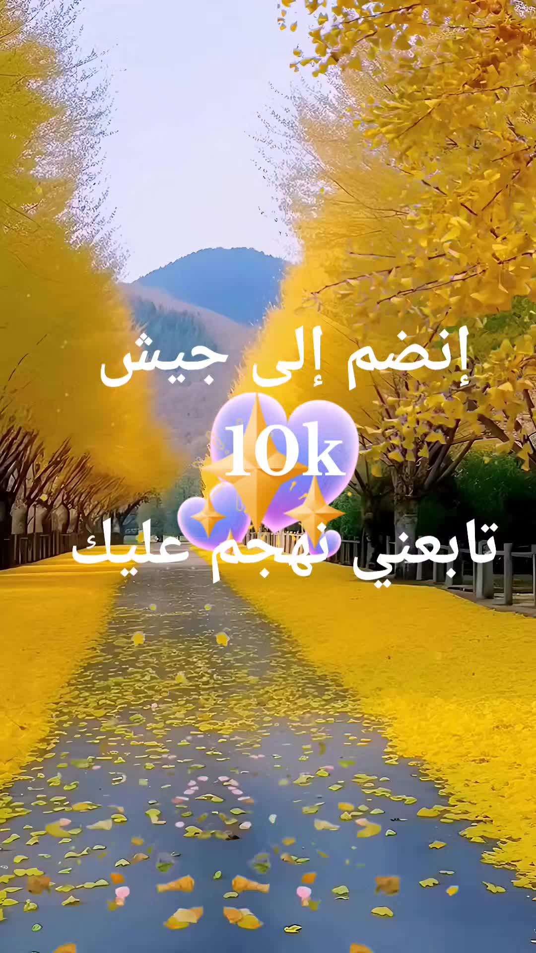 @vlog qeust