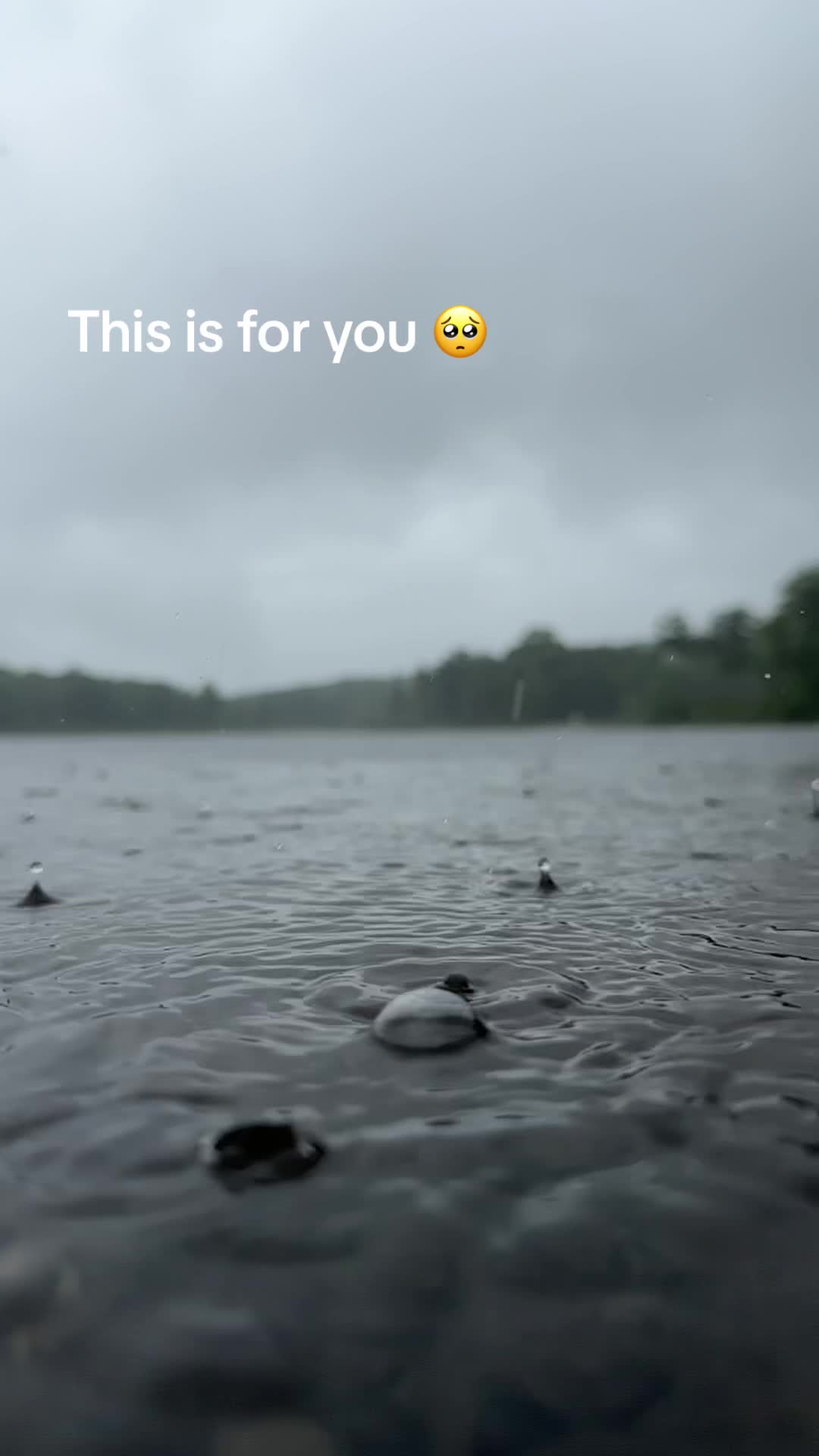 @carlooftheforest