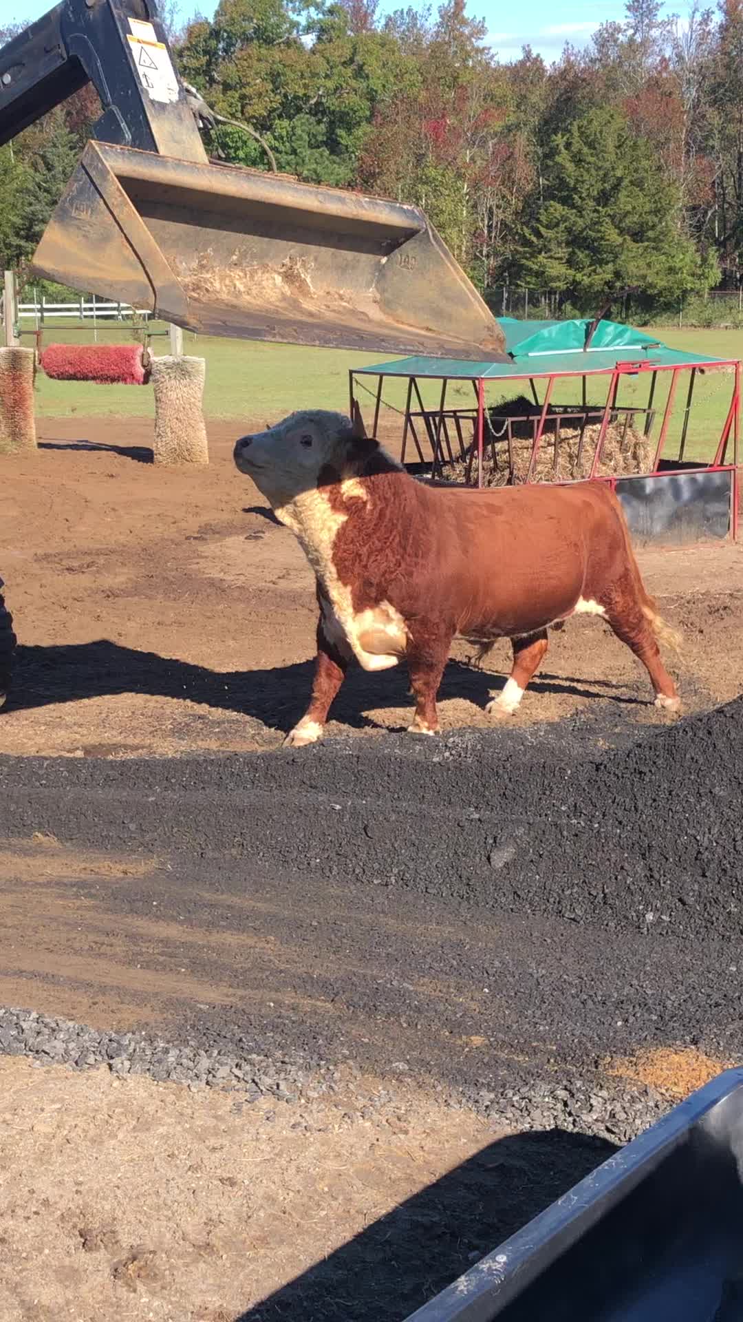 @RWV Land & Livestock