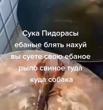 @Привет меня зовут ъъъъъъъъъъъъ