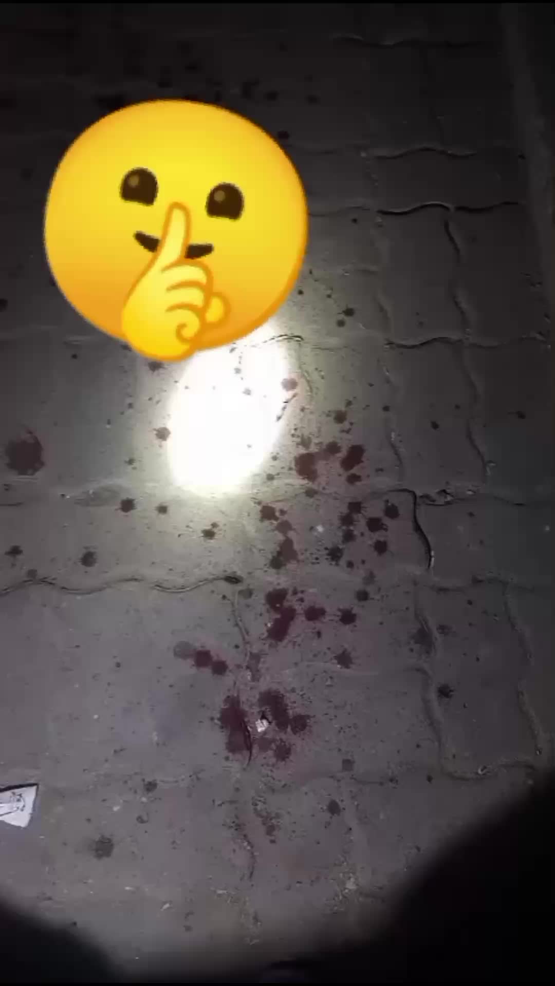 @alex_frizerul🐻☠️💇🤦💶