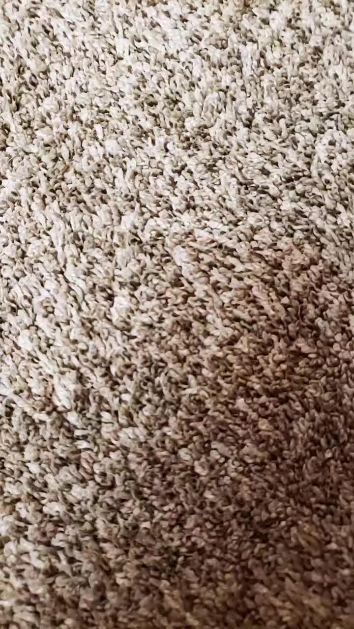 @user1986483976510