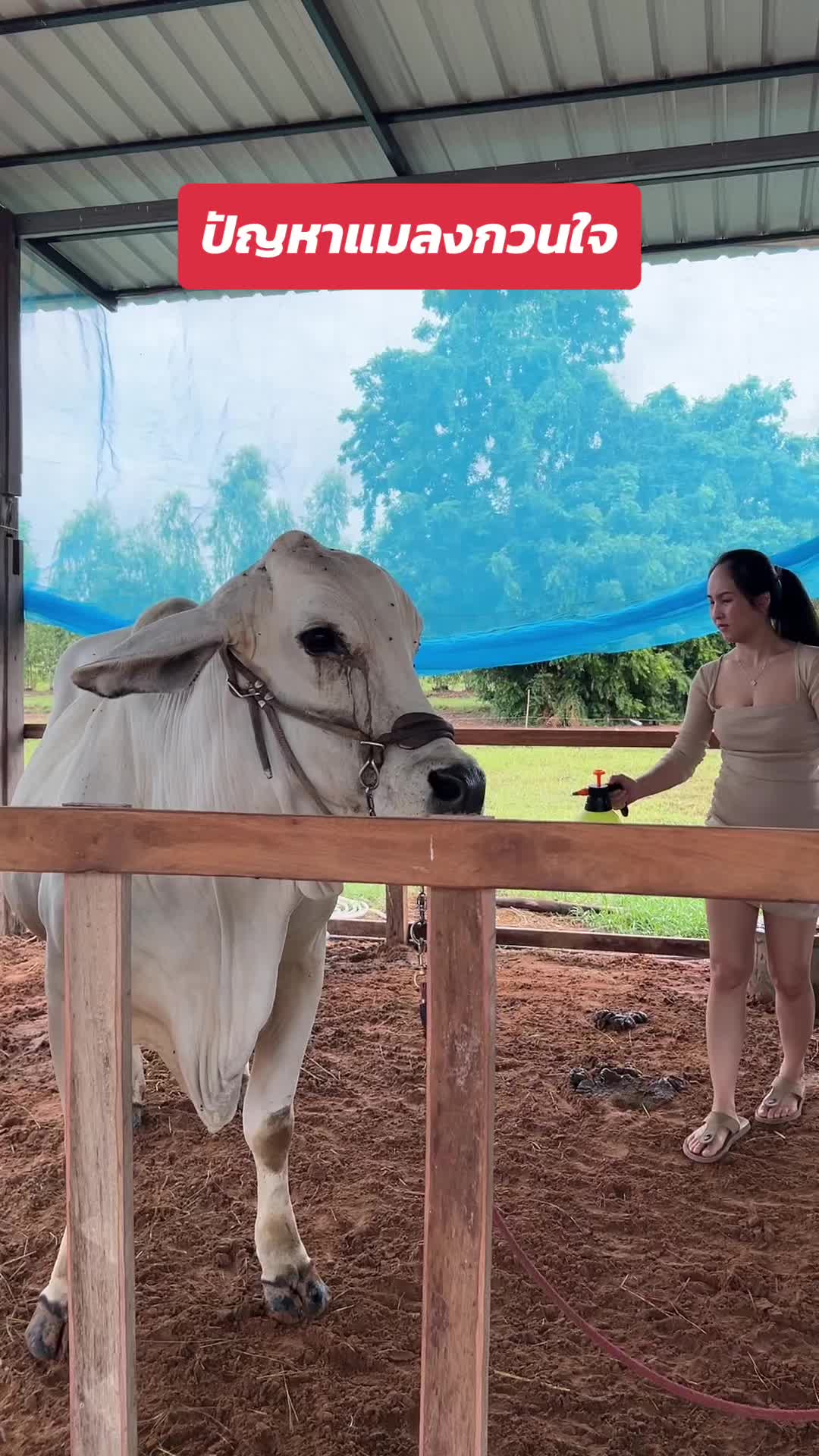 @AA Aranya Farm