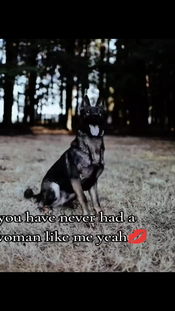 @🐾🌪️~Karma~🌪️🐾
