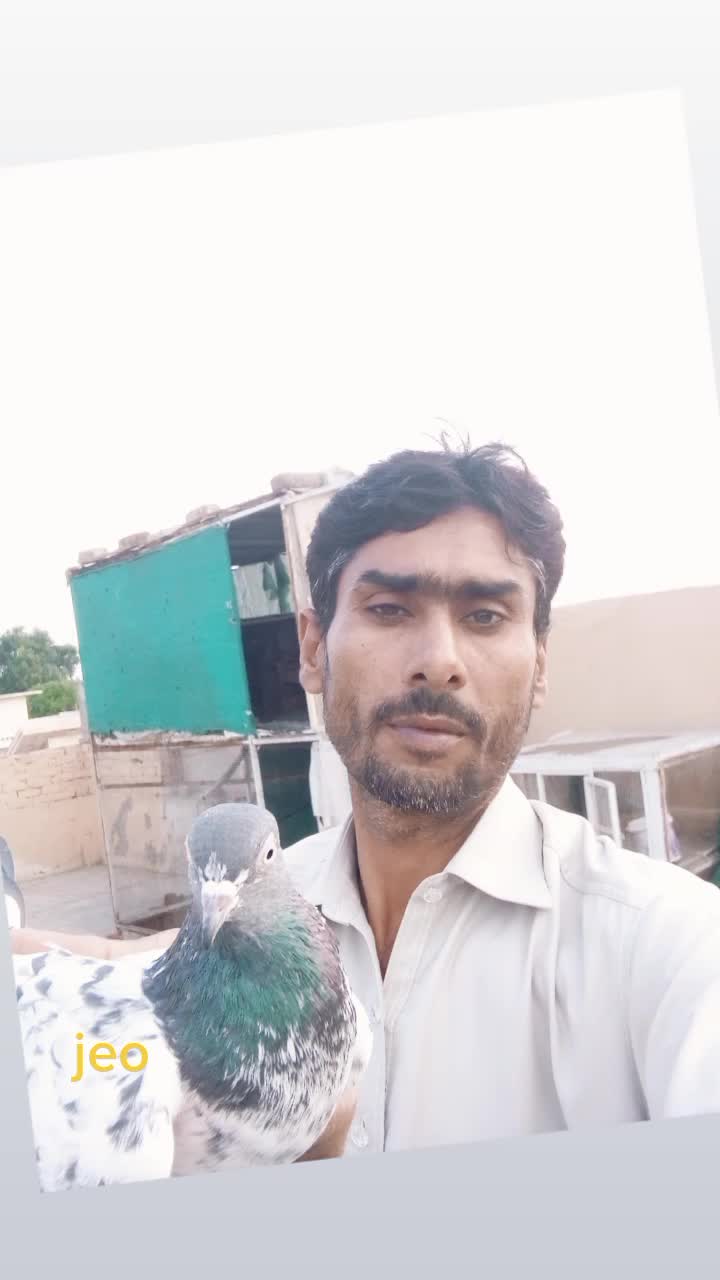 @abbasyahukhil