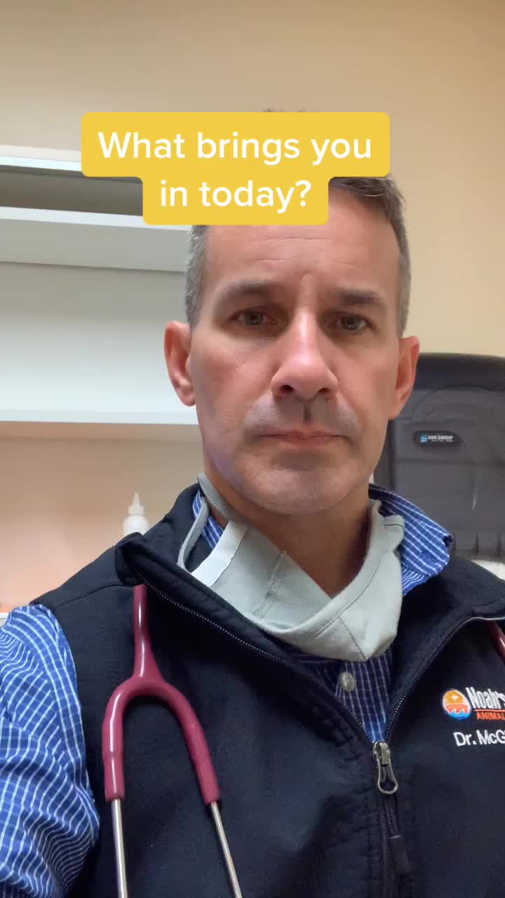 @Matt McGlasson, DVM