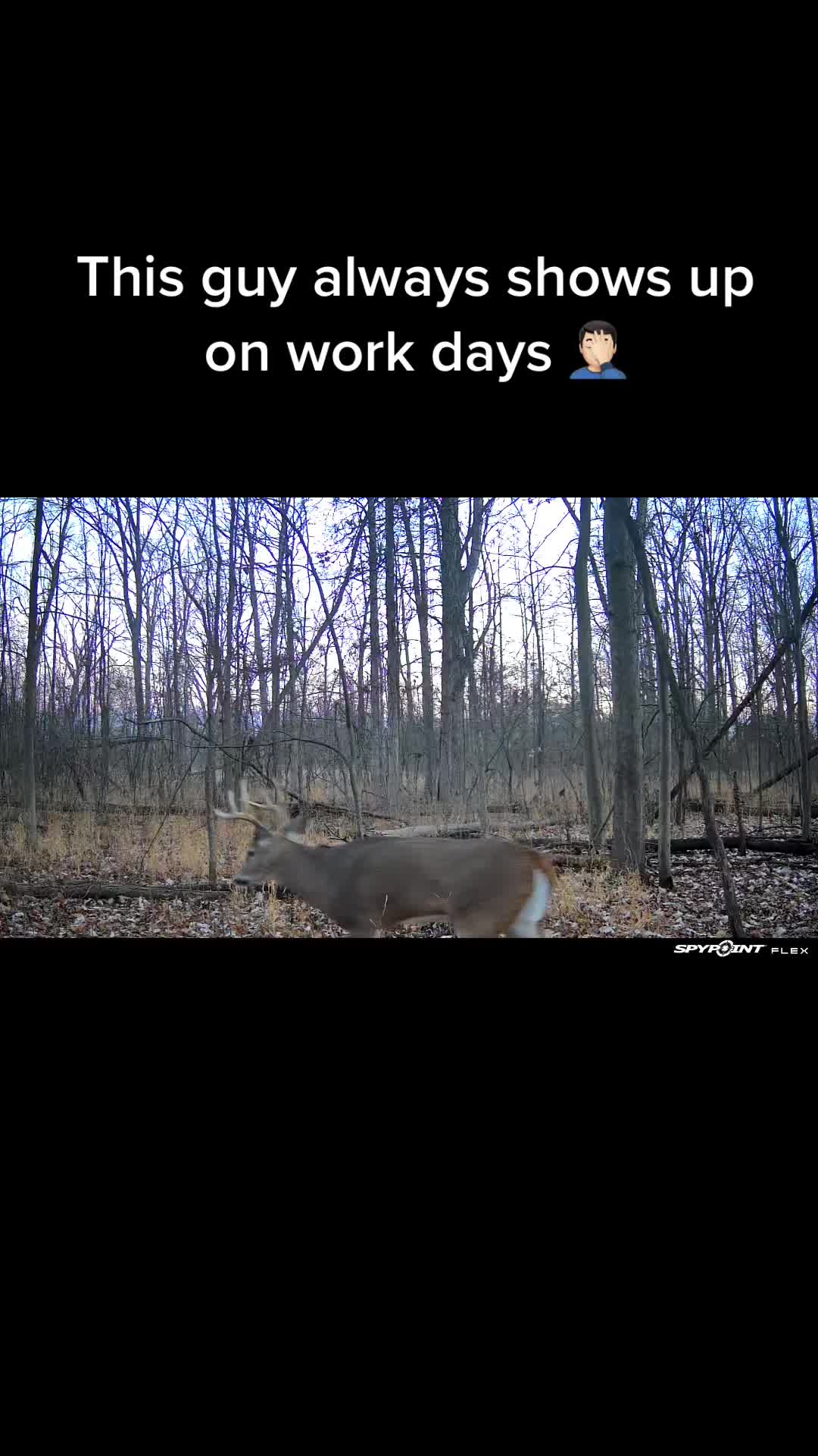 @Michigander Jeff