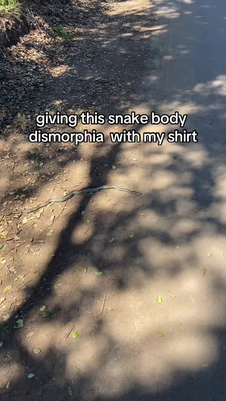 @fiona 🦎