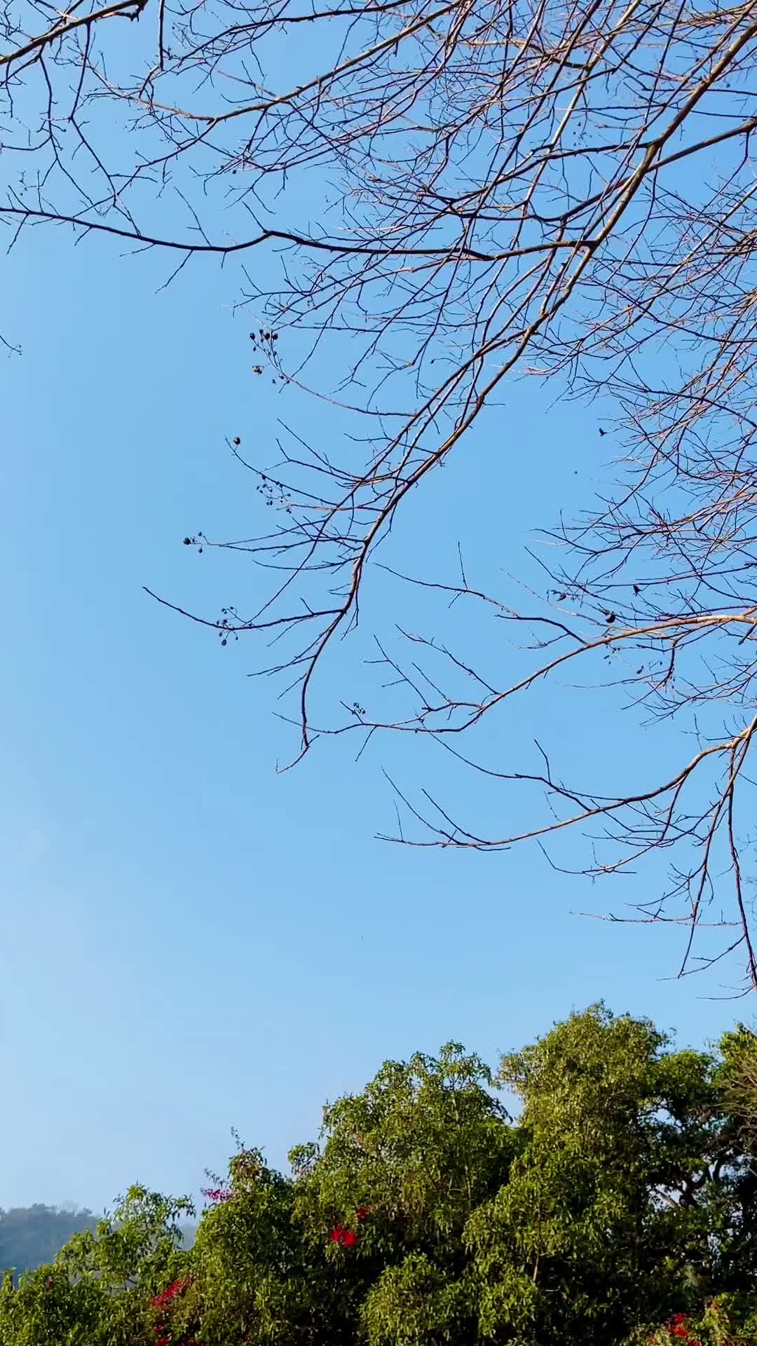 @NepalVid