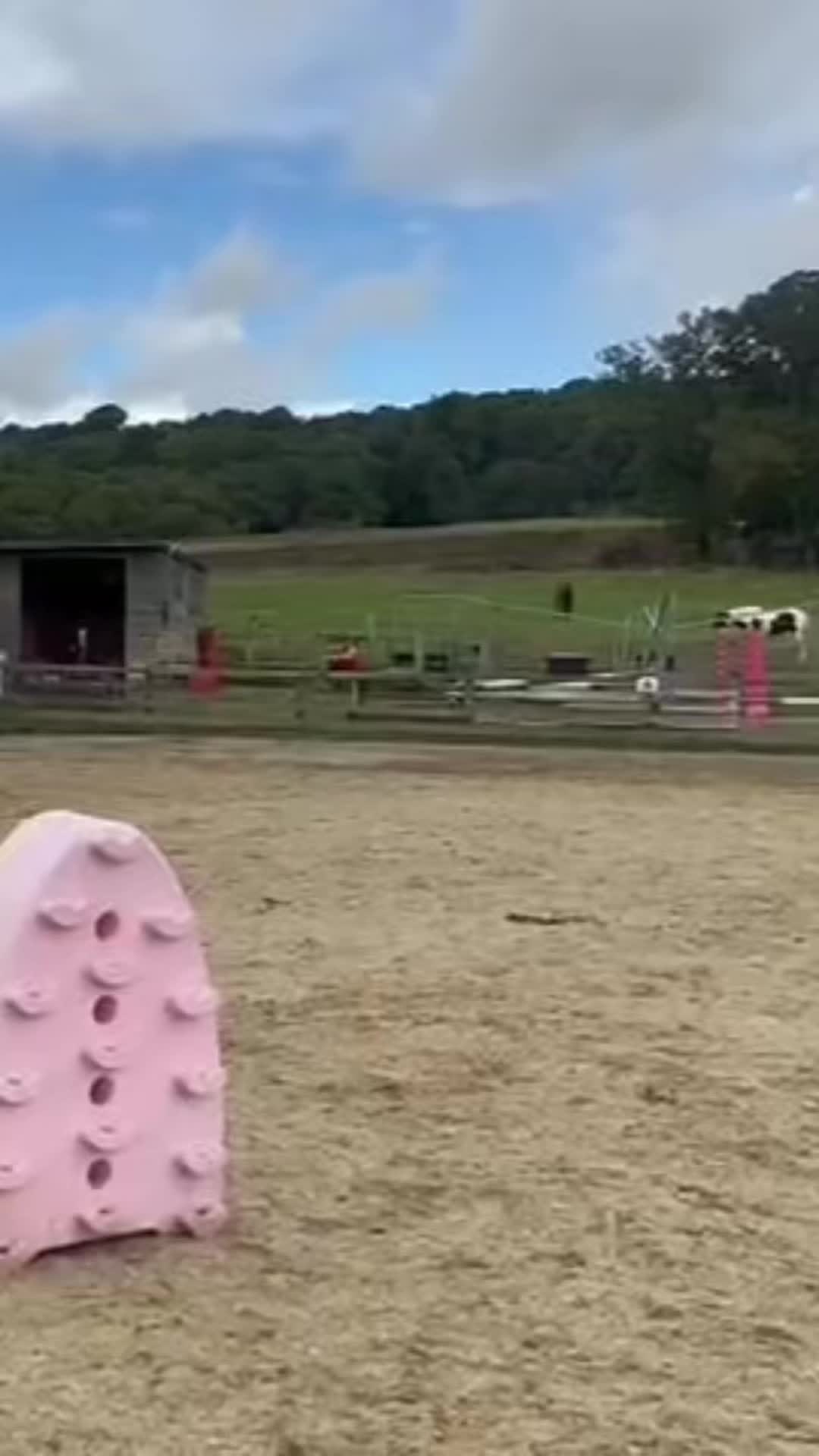 @Ruby🐴