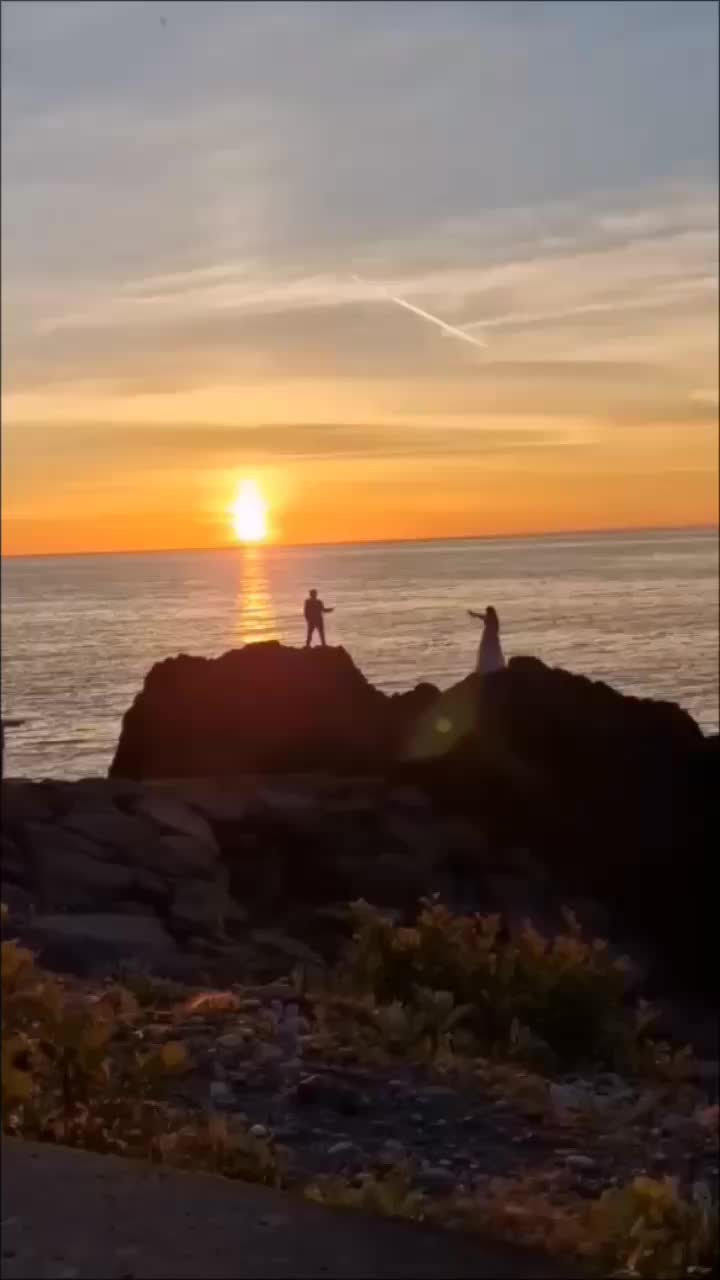 @𝐕𝐢𝐫𝐠𝐨'𝟖𝟒