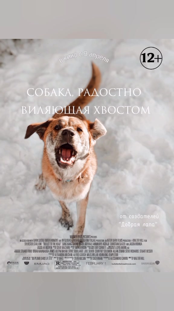 @Тигрёнок🤫