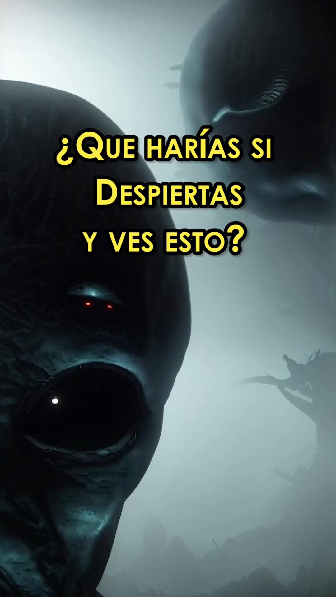 @TheVoid199