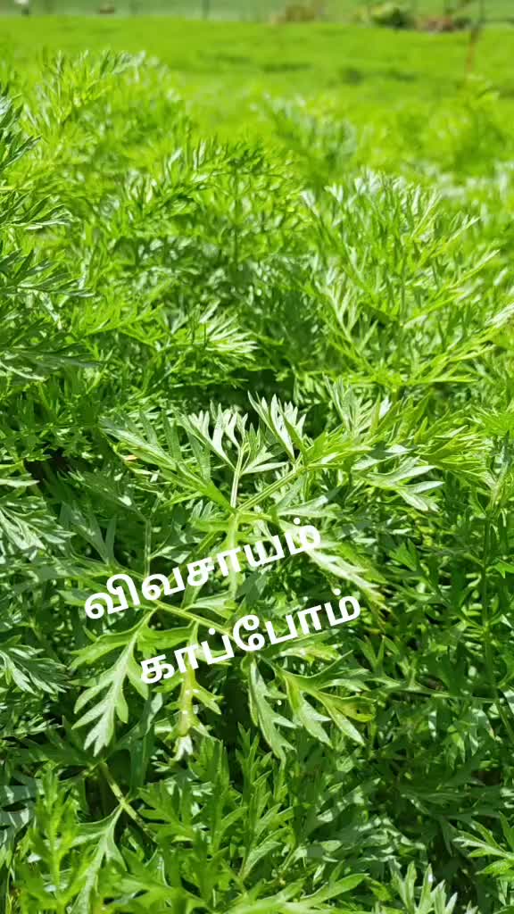 @Vignesh Vikey