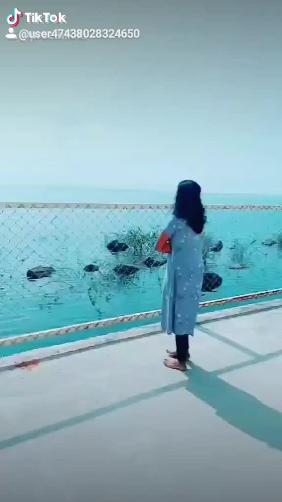 @vp veda
