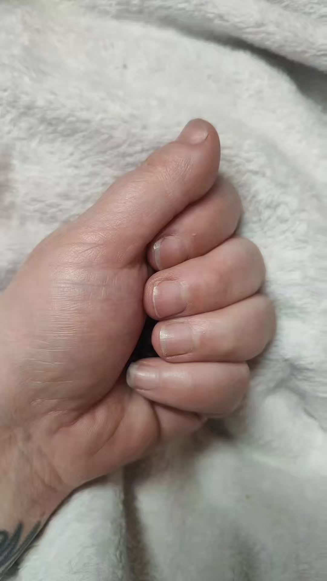 @Stefanie Lynn