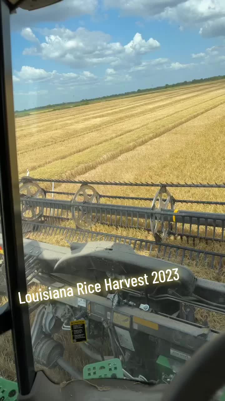 @ColeForet1