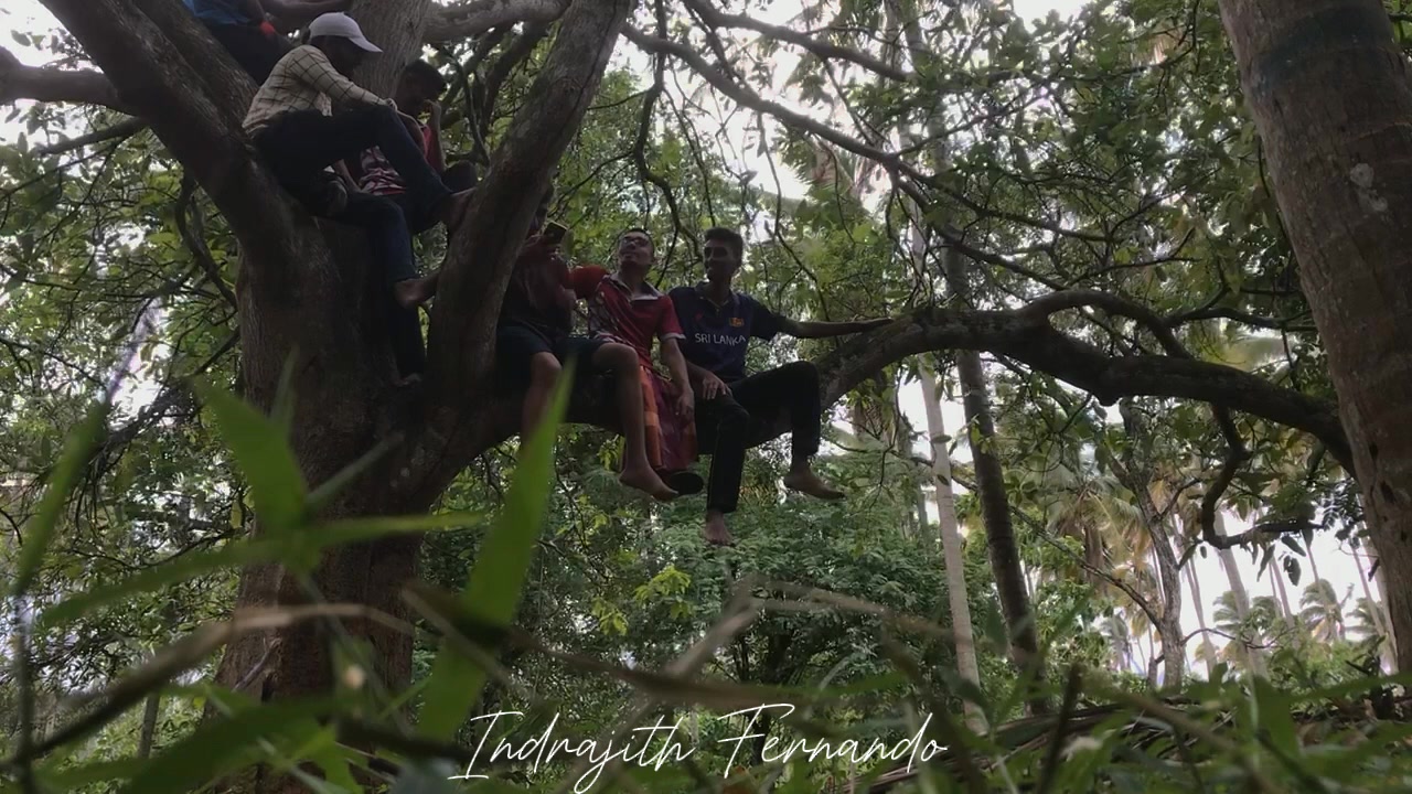 @Indrajith Fernando