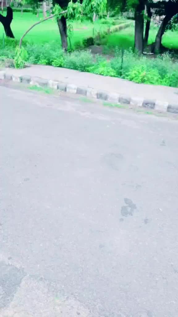 @Meet Kundu