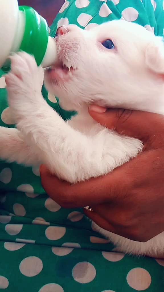 @ರವಿ ಕನ್ನಡಿಗ