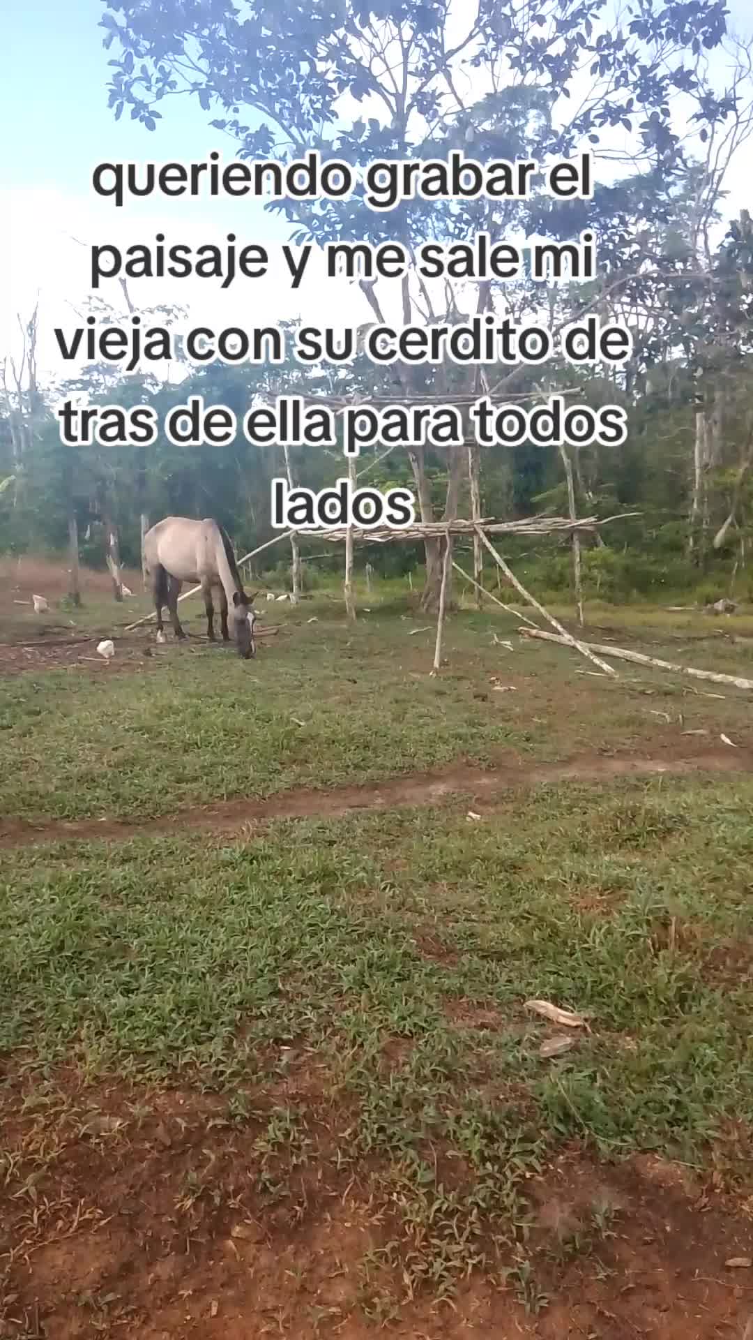 @Lisbeth Benavidez