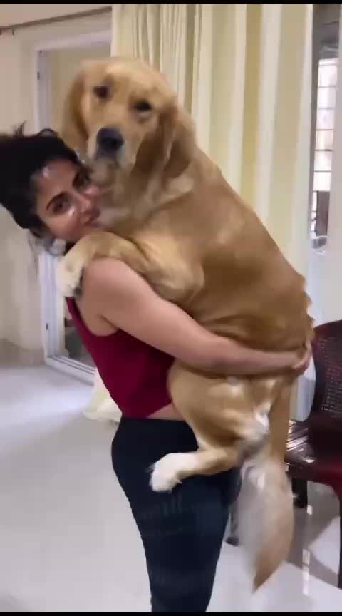 @hasini