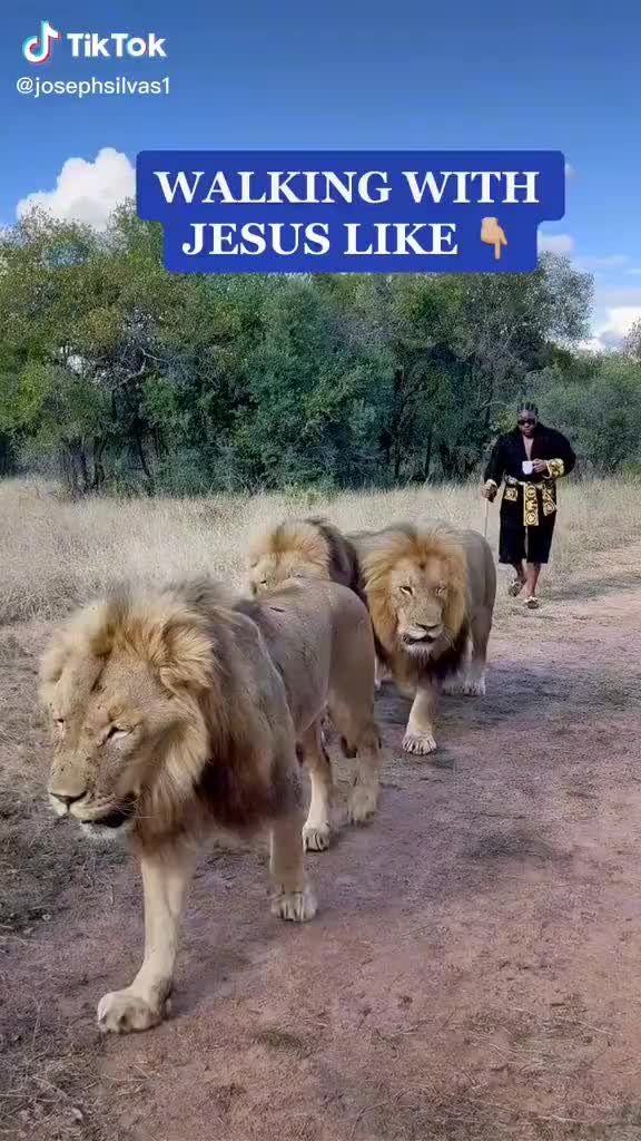 @FalconMediaMarketingCreators