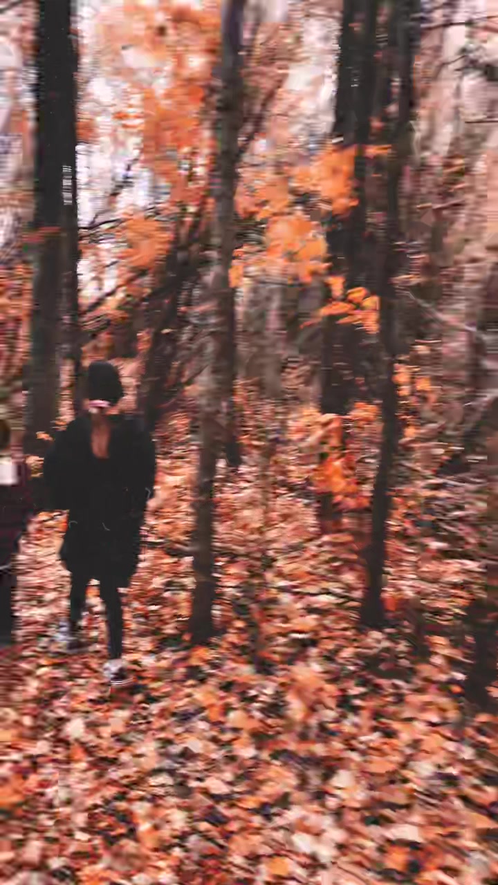 @tt