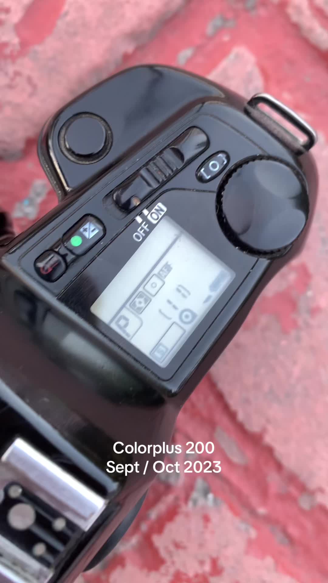 @Alejandro Flores 📷