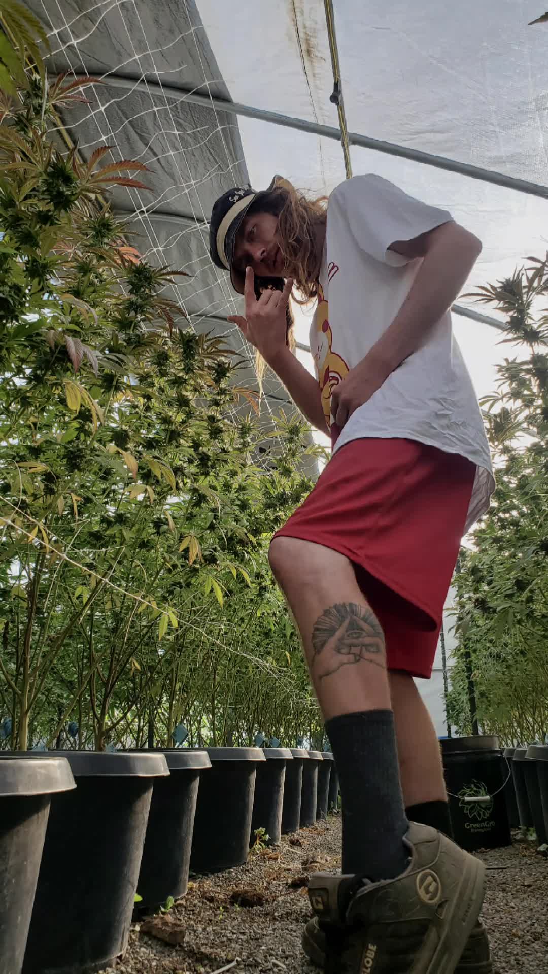 @StonerHippie