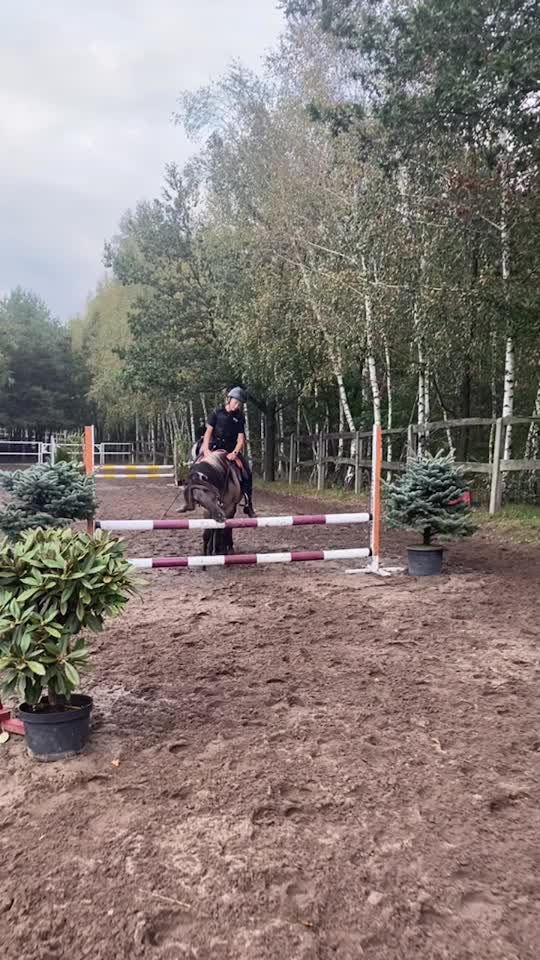 @Końska Grupa🐎