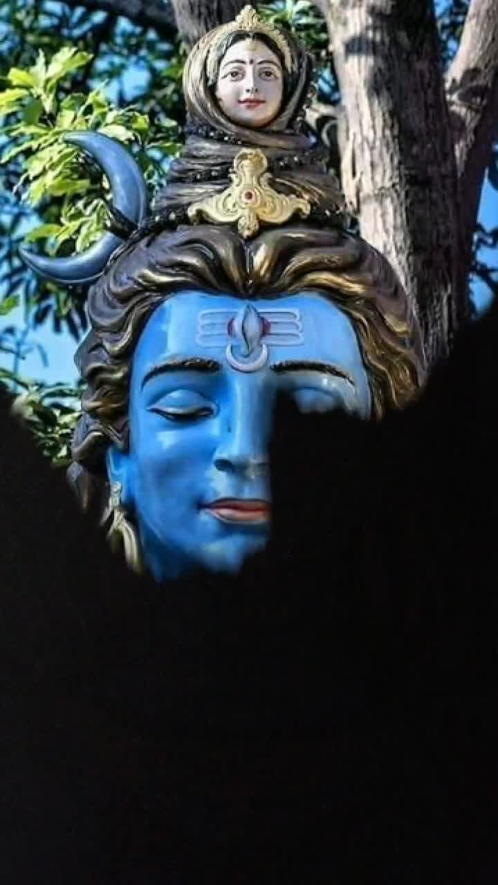 @user7446371016817