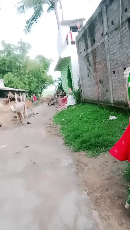 @Ani