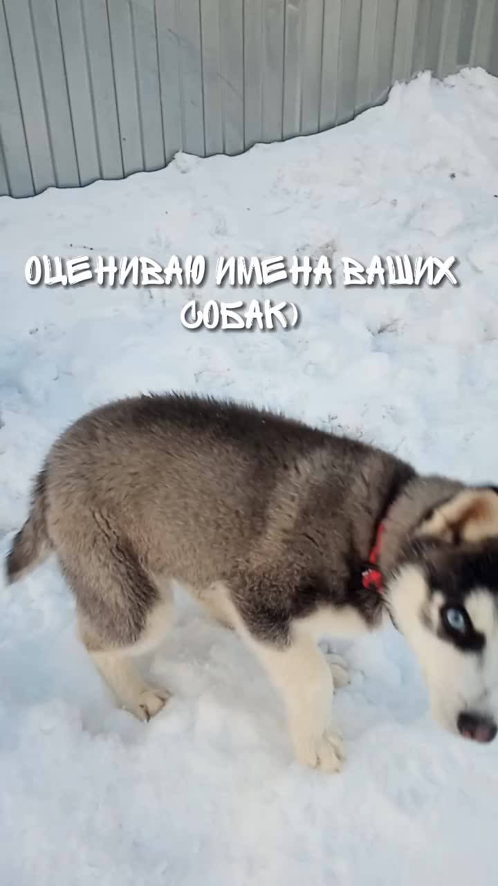 @просто Майа 💗