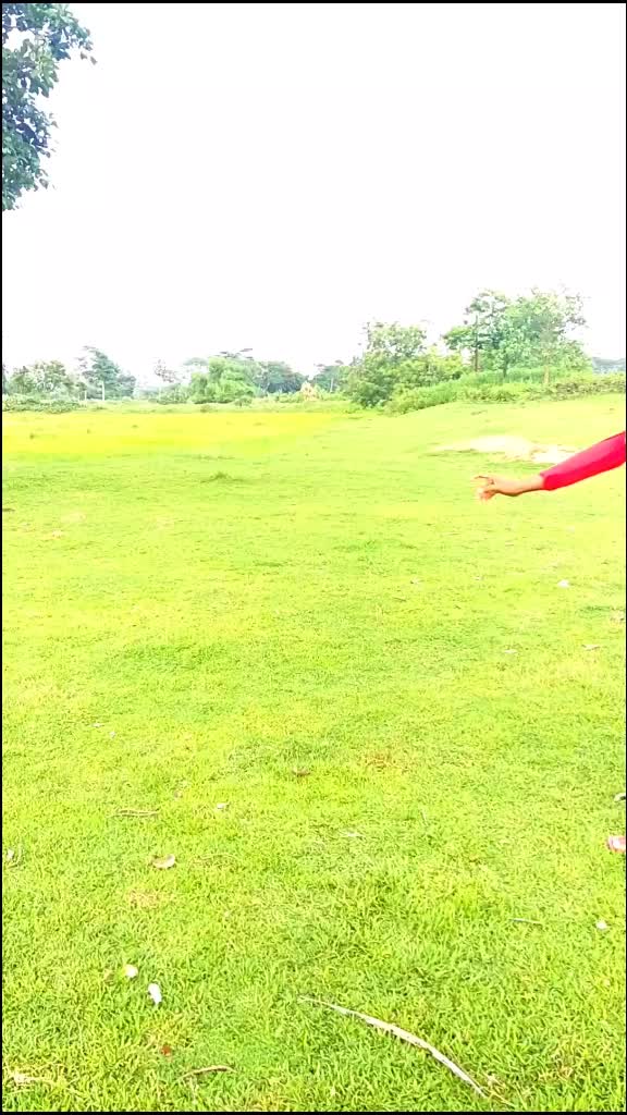 @sitansu