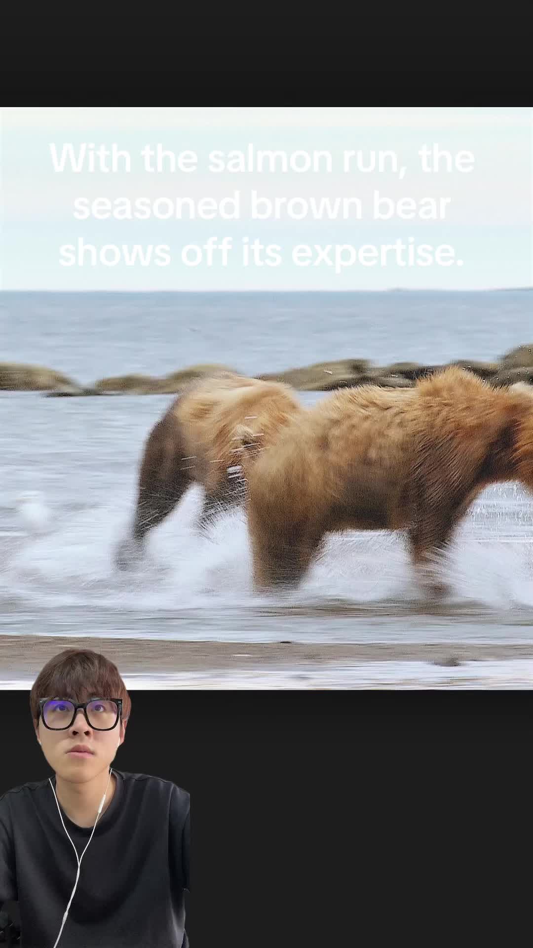 @aboutanimals