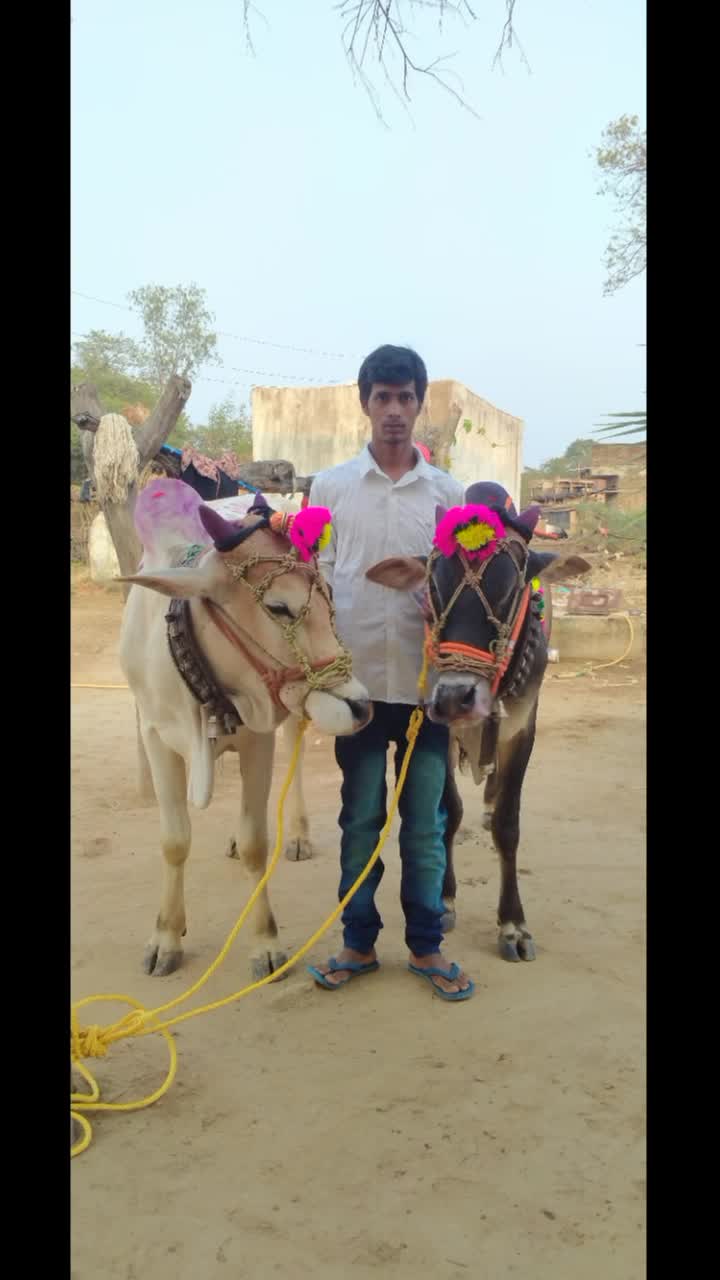 @user7147412694787