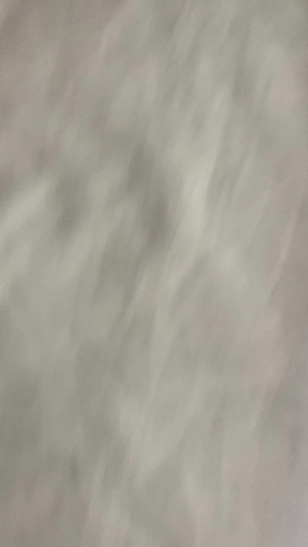 @🦇