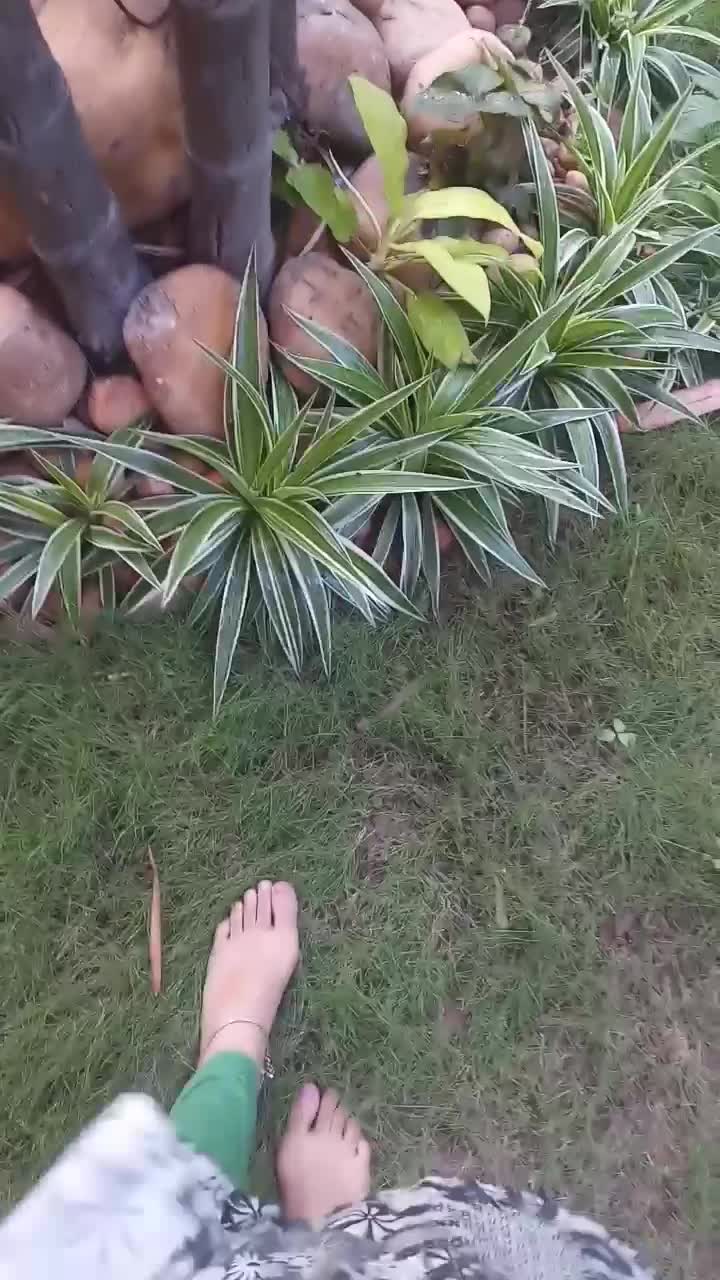 @chandhini_s