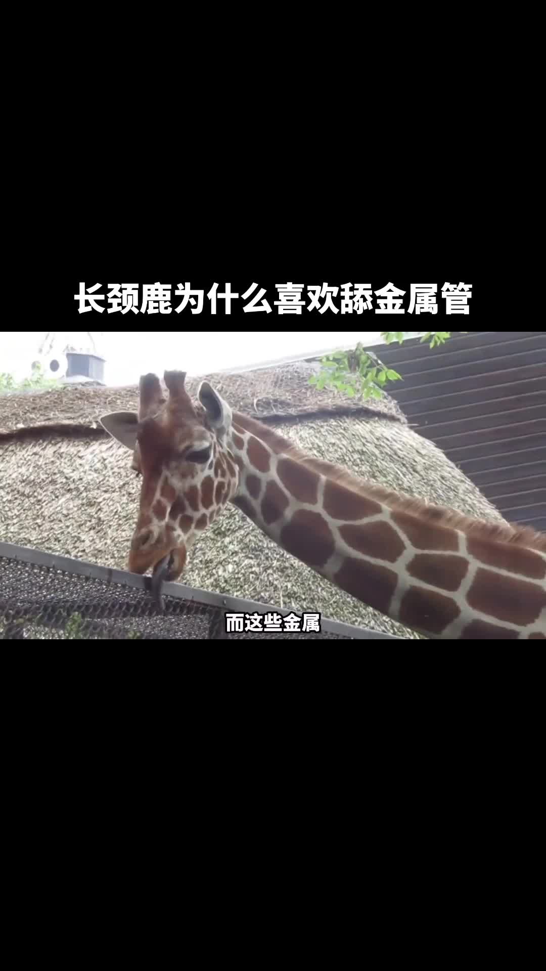 @科学探索视界
